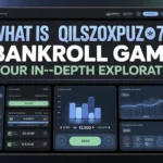 what is qilszoxpuz7.4.0.8 bankroll game